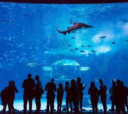 Isamaria Parque Santa Catalina *